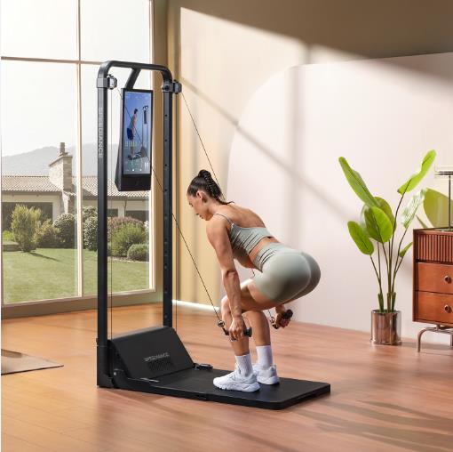 Gamifying Fitness: Interactive Speediance Training