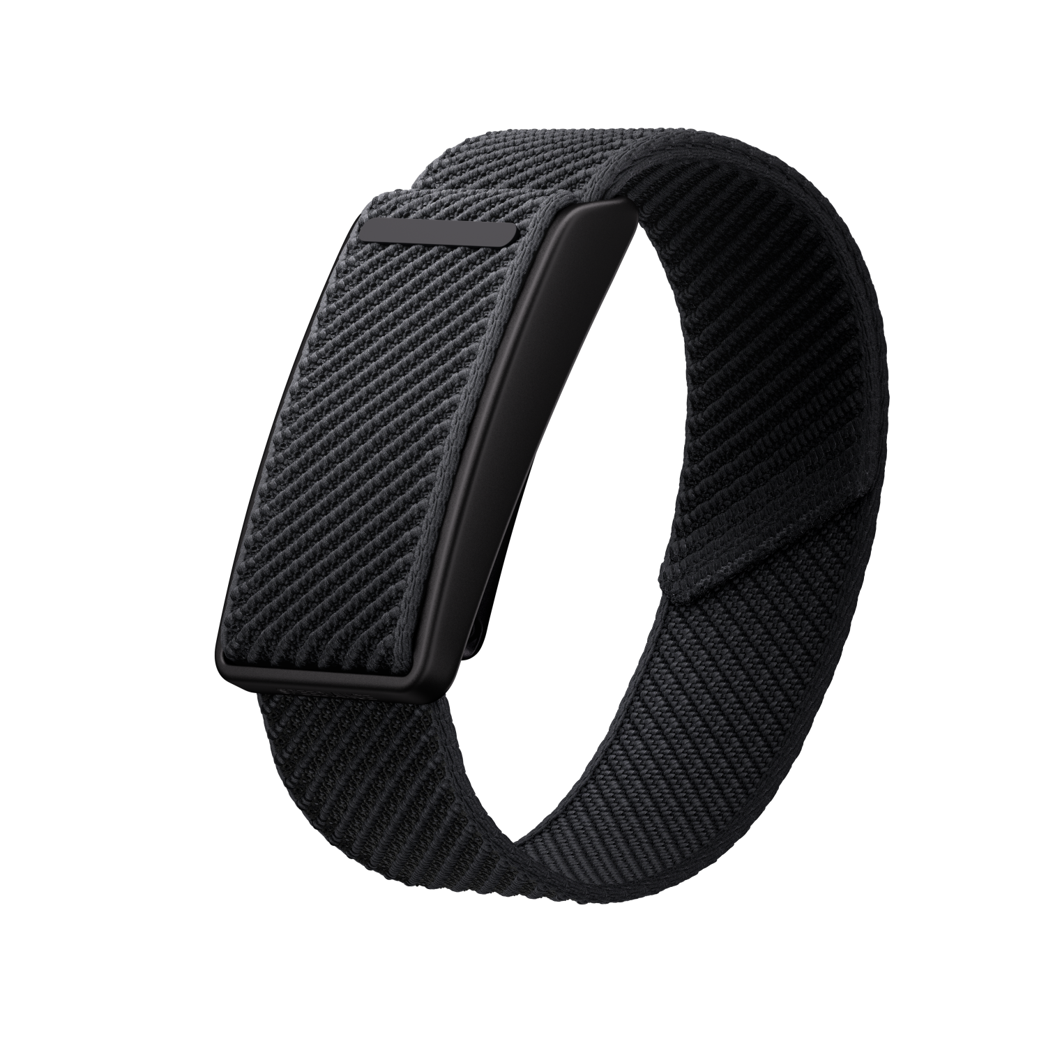 Speediance Strap